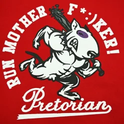 Bluza damska z kapturem Pretorian