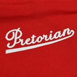 Bluza z kapturem Pretorian 