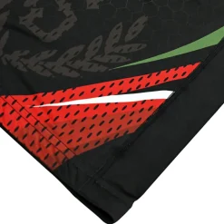 Rashguard short sleeve Pretorian