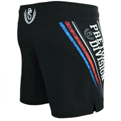 Spodenki MMA Lite Pretorian