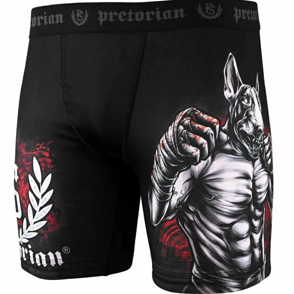Spodenki Vale Tudo Pretorian "Knockout Maker"