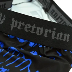 Spodenki Vale Tudo Pretorian 