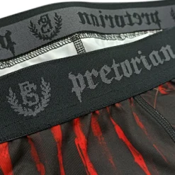 Spodenki Vale Tudo Pretorian